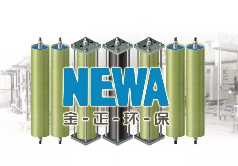 1541381637425210.jpg 640.webp (7).jpg